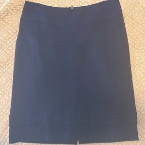 Cabi Navy Blue Women's Skirt